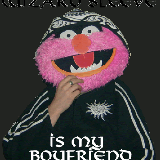 Timeline Wizard Sleeve